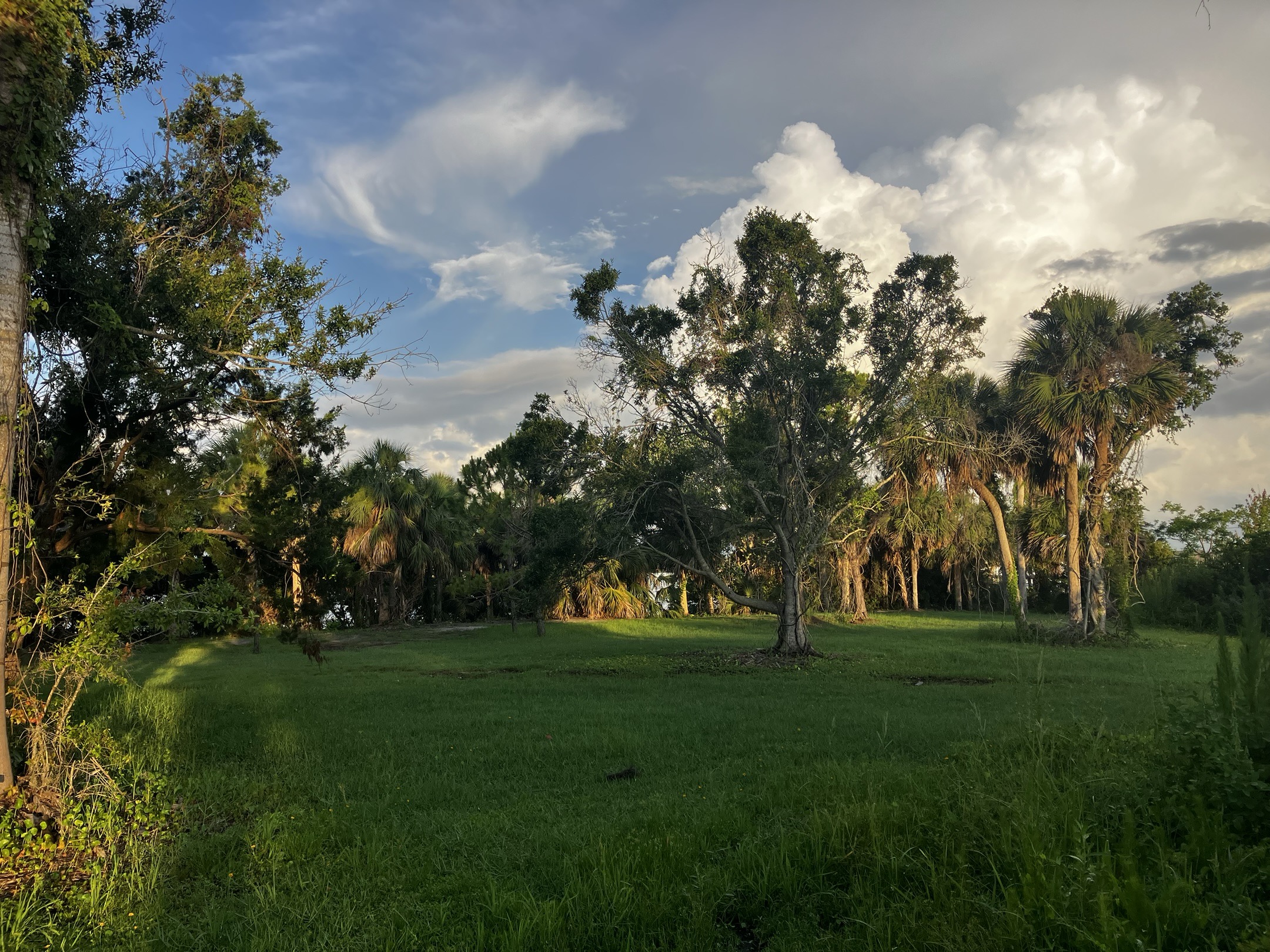 Meet Your Park Event